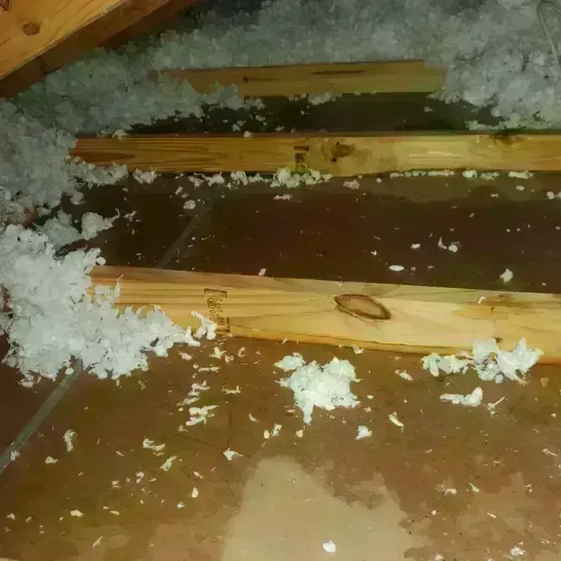 Attic Water Damage in Monahans, TX