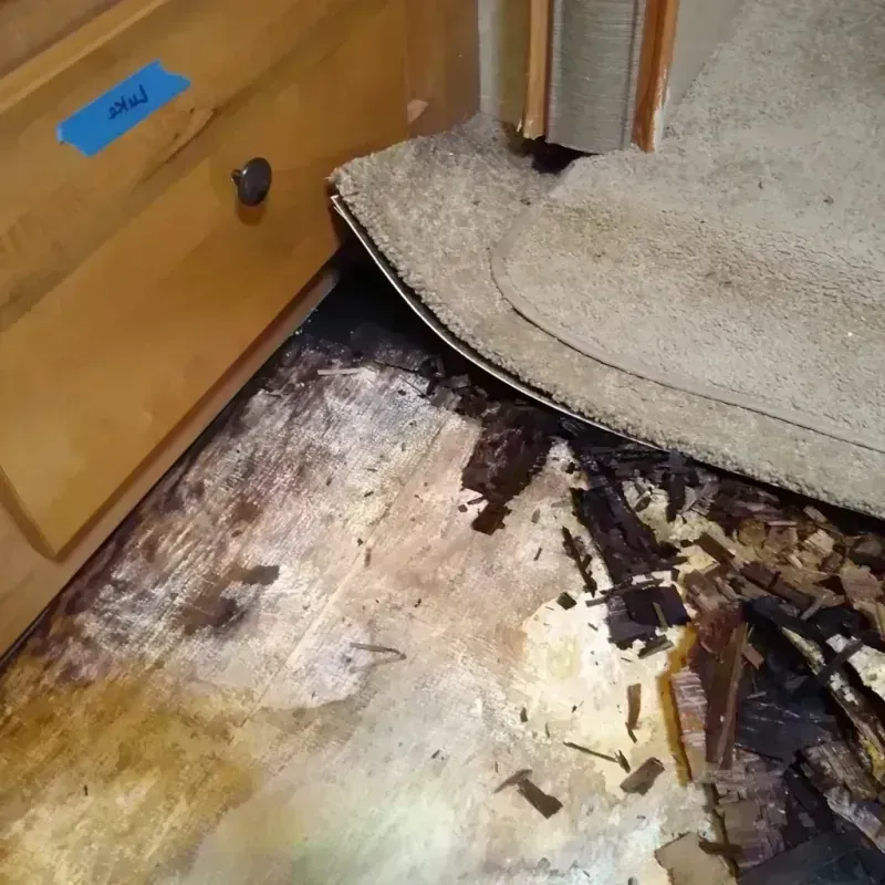 Wood Floor Water Damage in Monahans, TX